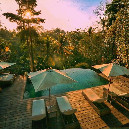 Angsoka Bungalow Ubud Exteriér fotografie