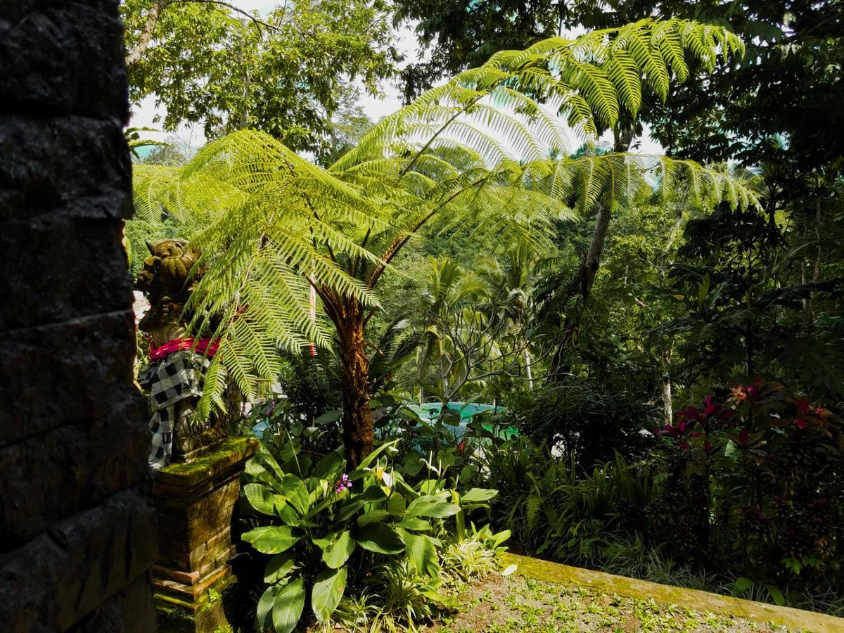 Angsoka Bungalow Ubud Exteriér fotografie