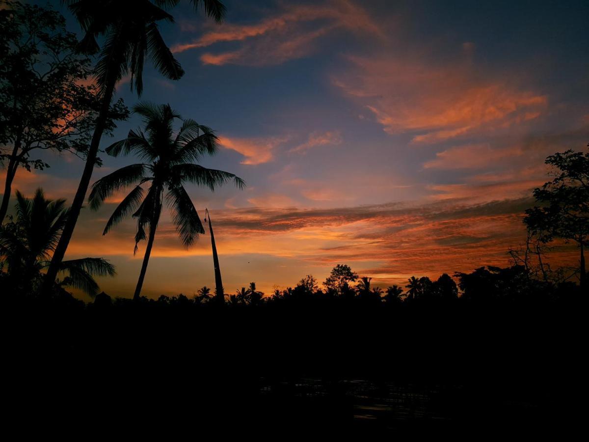 Angsoka Bungalow Ubud Exteriér fotografie