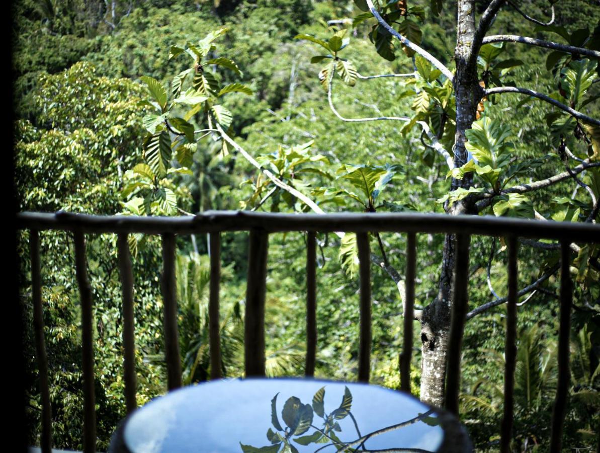 Angsoka Bungalow Ubud Exteriér fotografie