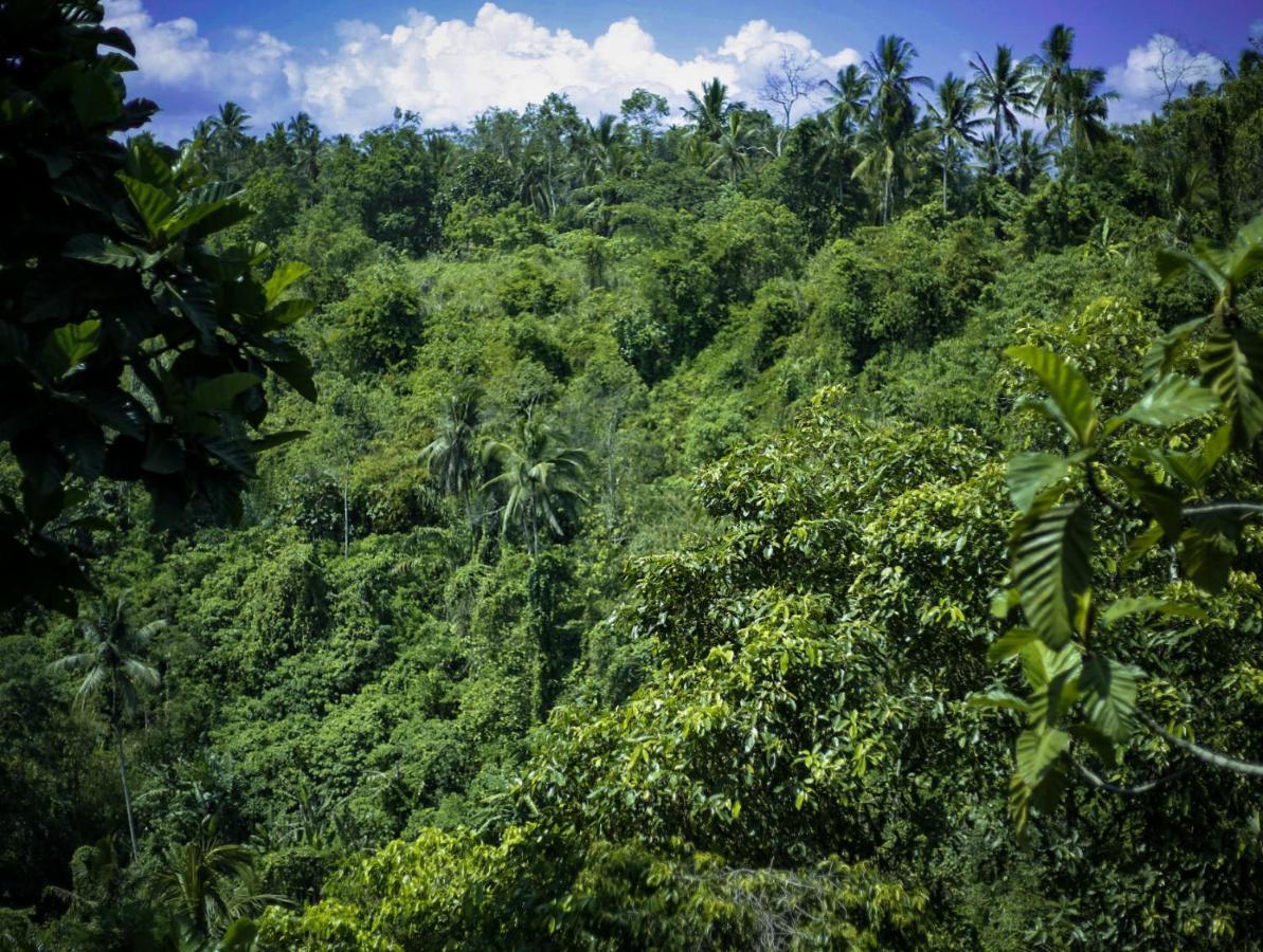 Angsoka Bungalow Ubud Exteriér fotografie