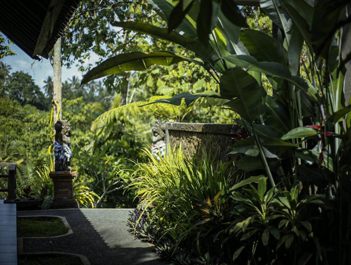 Angsoka Bungalow Ubud Exteriér fotografie
