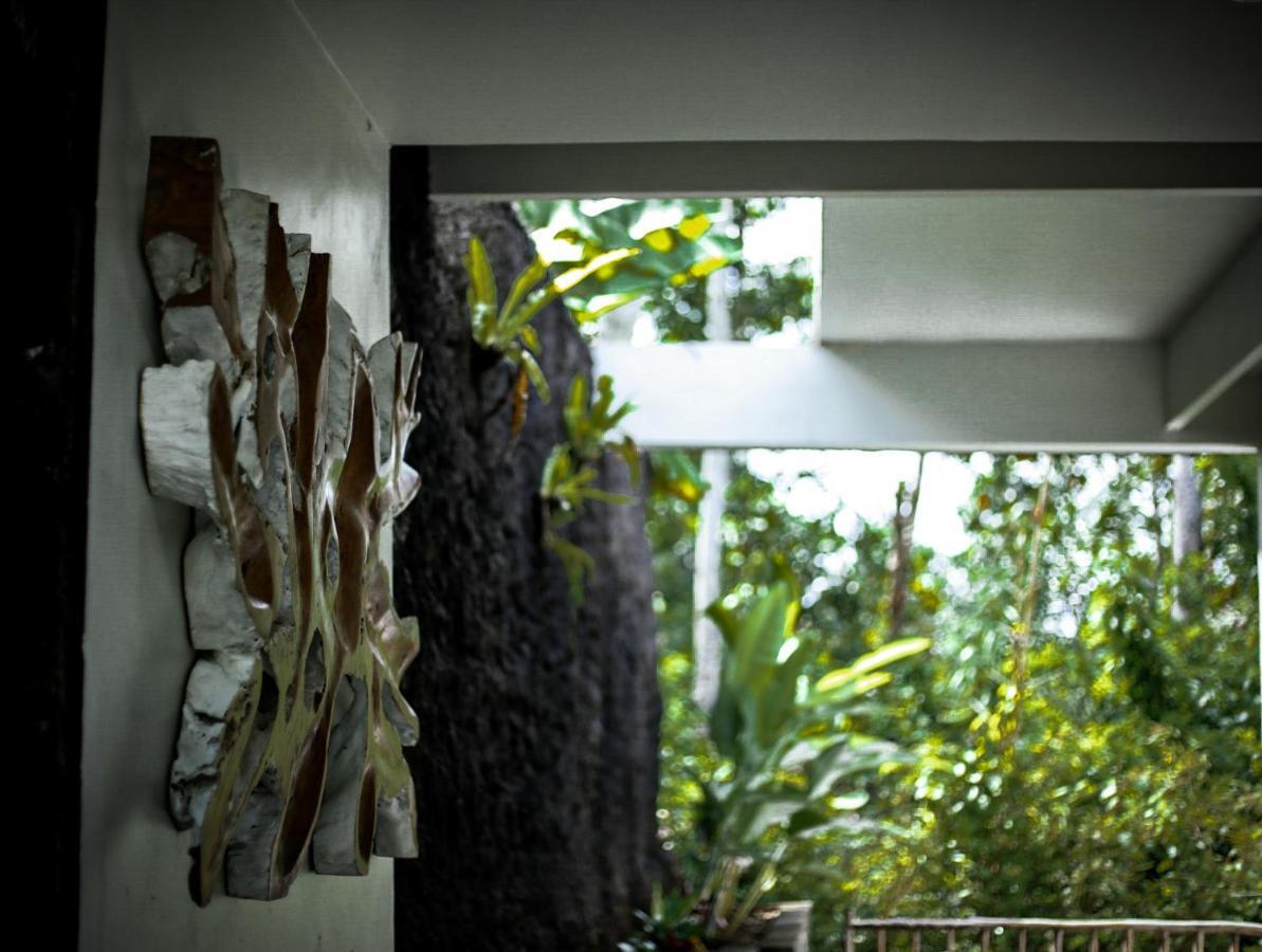 Angsoka Bungalow Ubud Exteriér fotografie