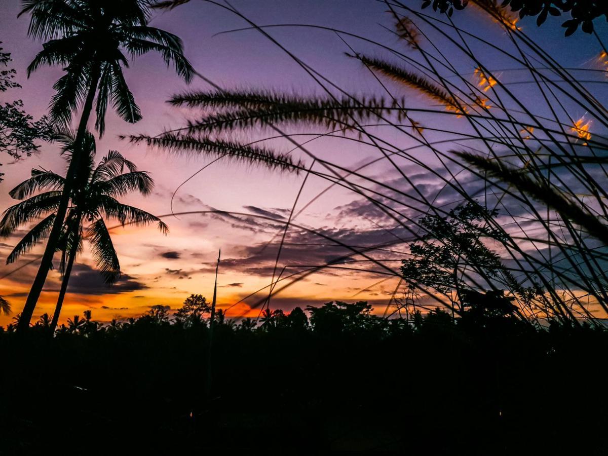 Angsoka Bungalow Ubud Exteriér fotografie